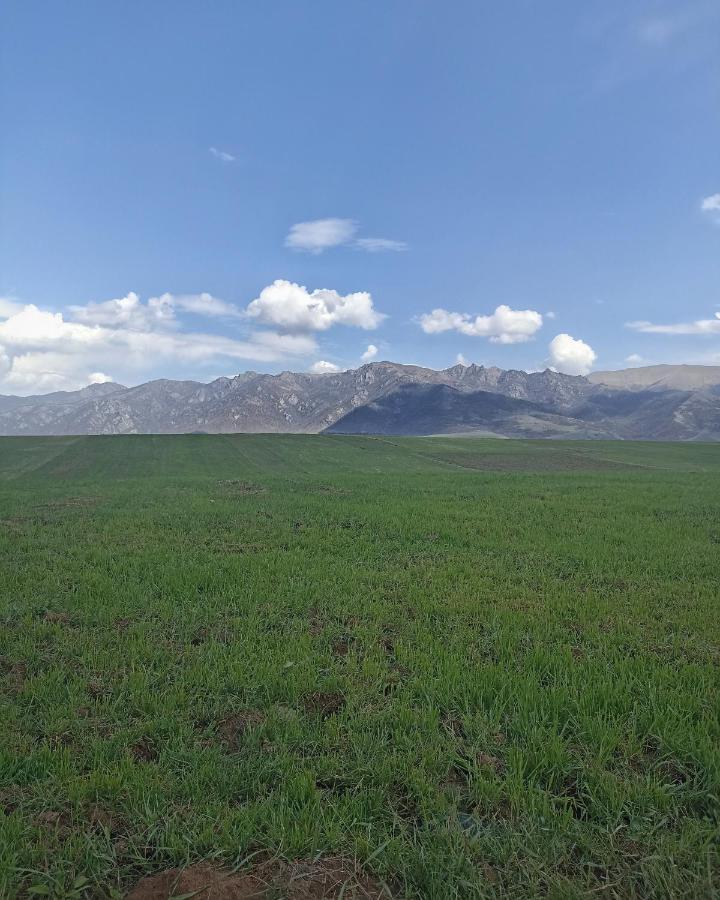 Tamara B&B Tumanyan Dış mekan fotoğraf