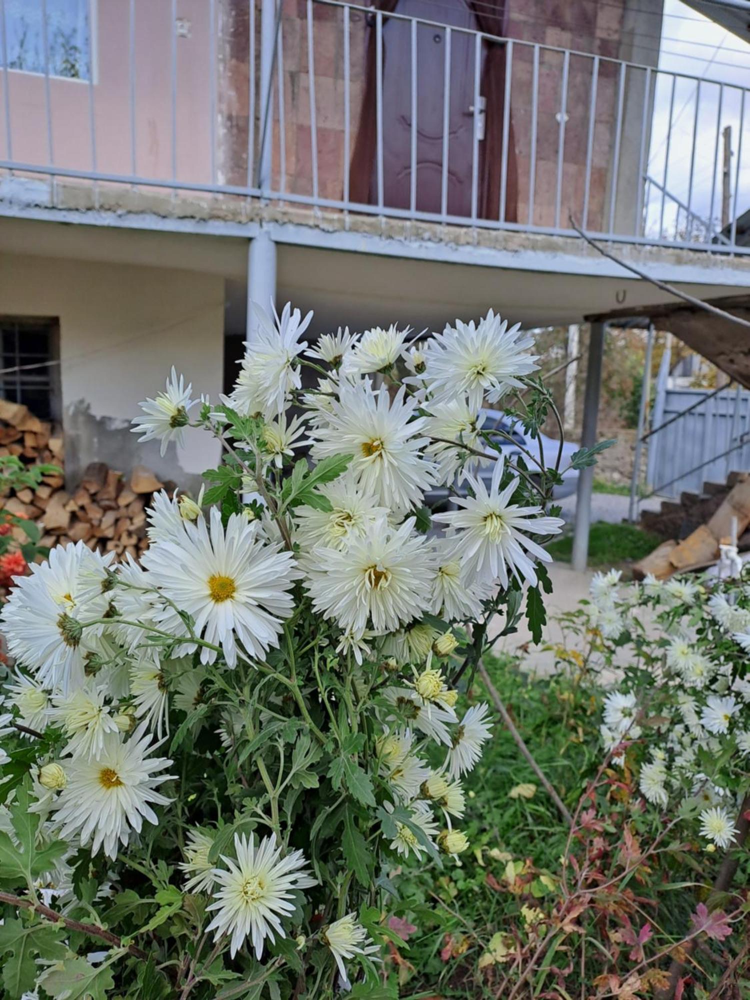 Tamara B&B Tumanyan Dış mekan fotoğraf